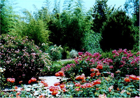 Flowers 20 Photo Of The Rose Garden At The Atlanta Botanical Garden