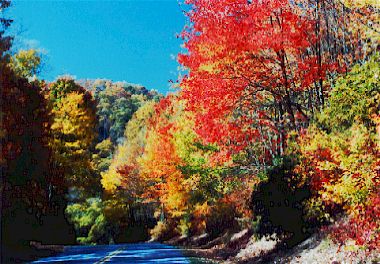 Fall Color on the Blue Ridge Parkway.jpg (41539 bytes)