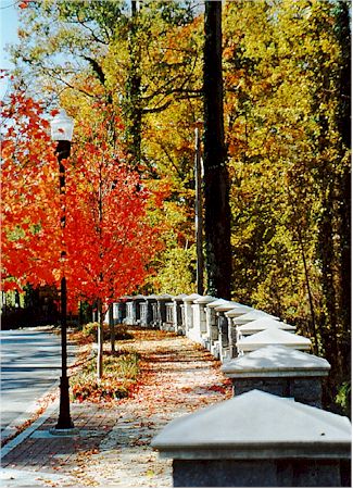 Fall color at Emory.jpg (68397 bytes)