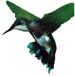 Hummingbird2.gif (3535 bytes)