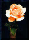 Rose in Crystal Vase.jpg (32305 bytes)