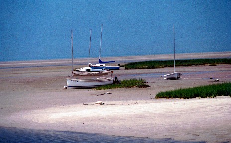 cc low tide at Boat Meadow.jpg (43827 bytes)
