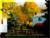 Autumn on Isolda Drive.jpg (34138 bytes)